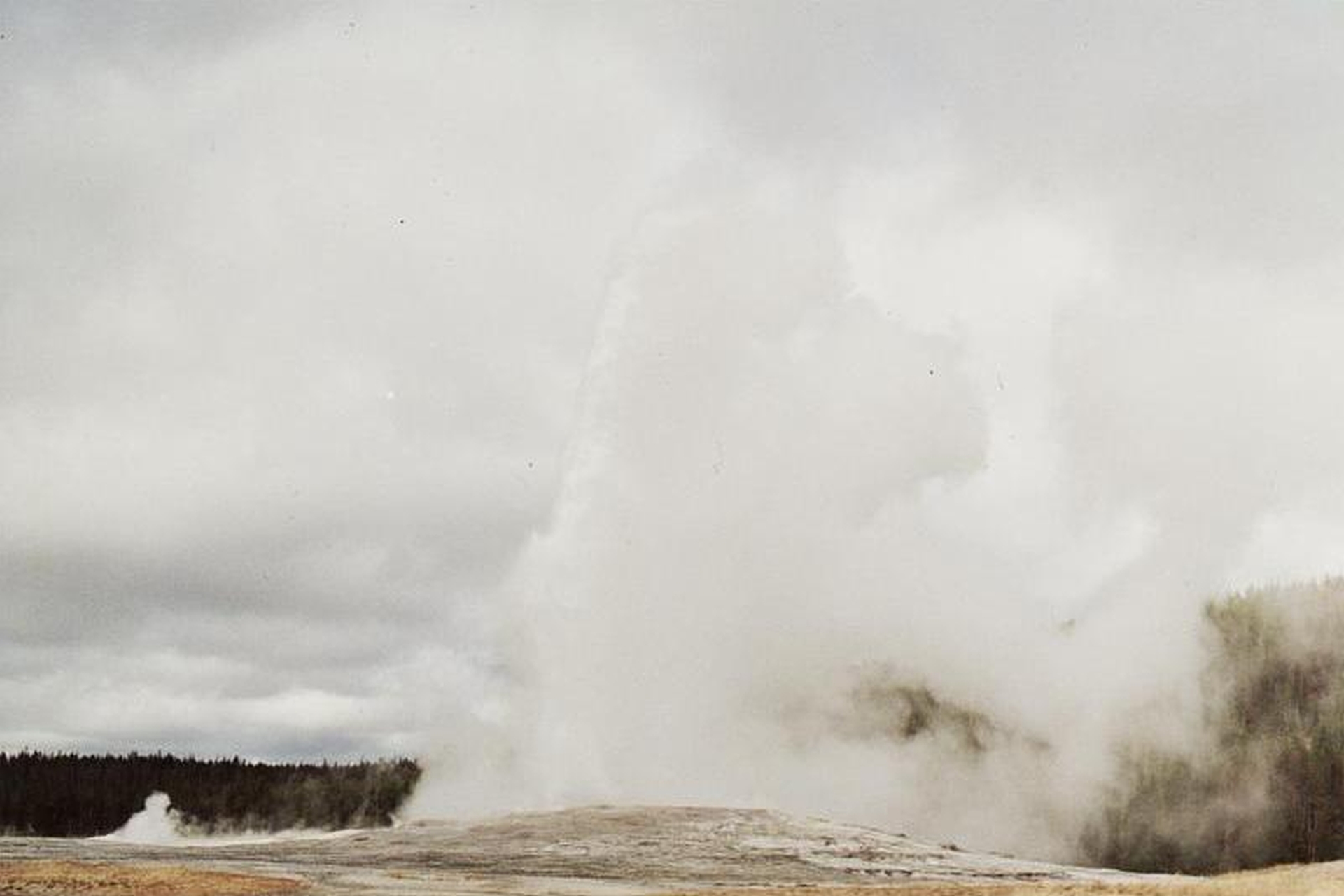 picture of Old Faithful erupting